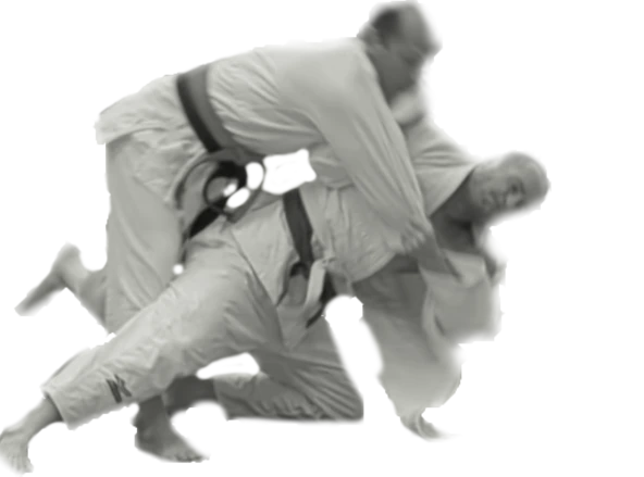 Two judockas grappling.
